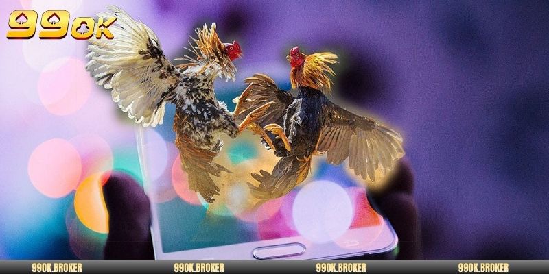 3 loại hình đấu gà trực tiếp 999 nổi bật