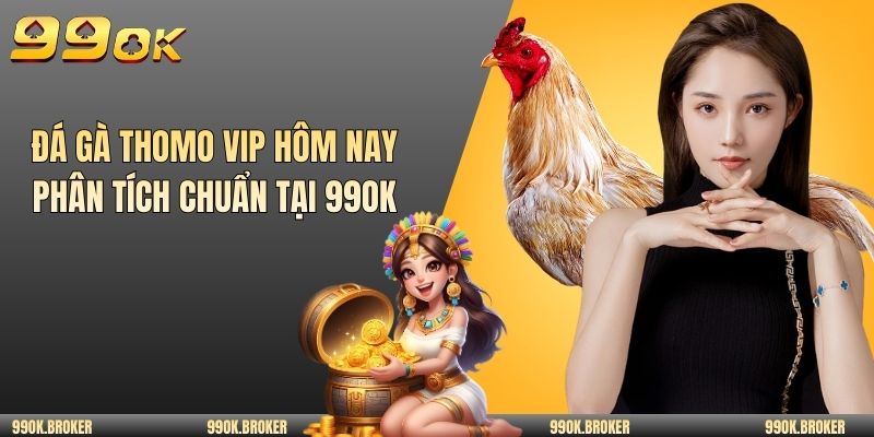Đá gà Thomo VIP hôm nay