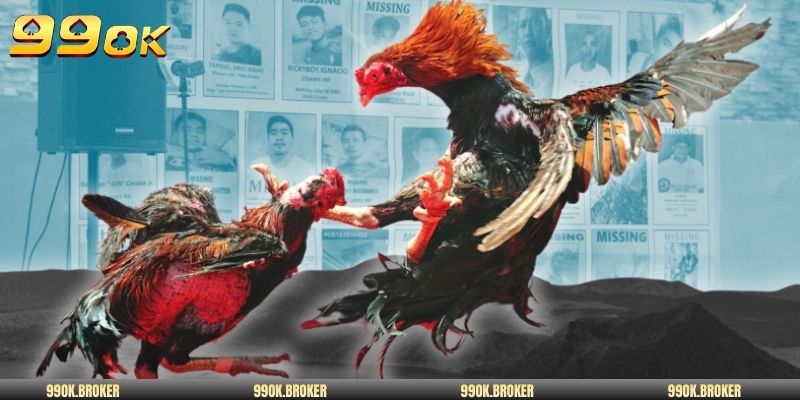 Đá gà trực tiếp 999 kịch tính từng phút