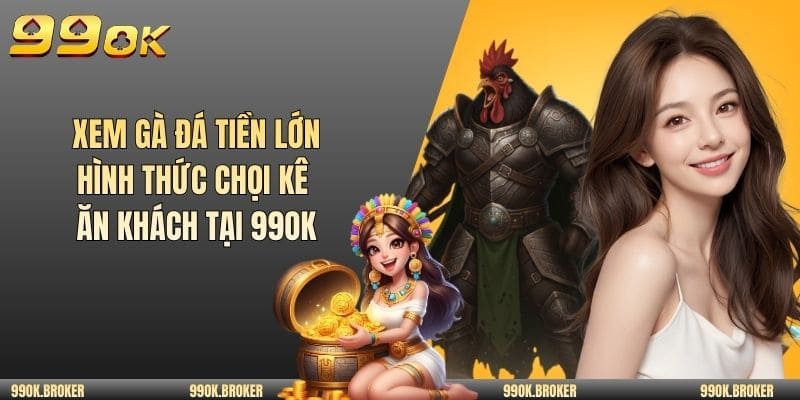 Xem gà đá tiền lớn
